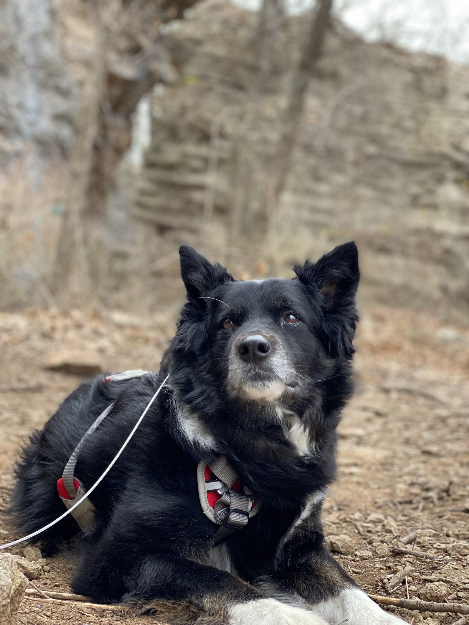 C3379006-83D0-4489-B55B-917C68AFD075