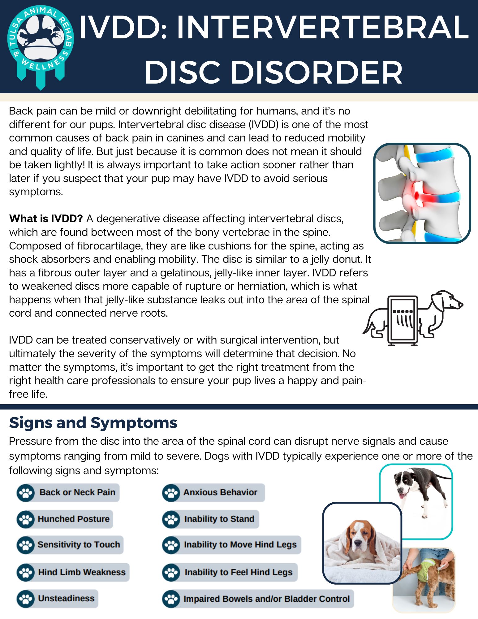 Free eBook: Intervertebral Disc Disorder