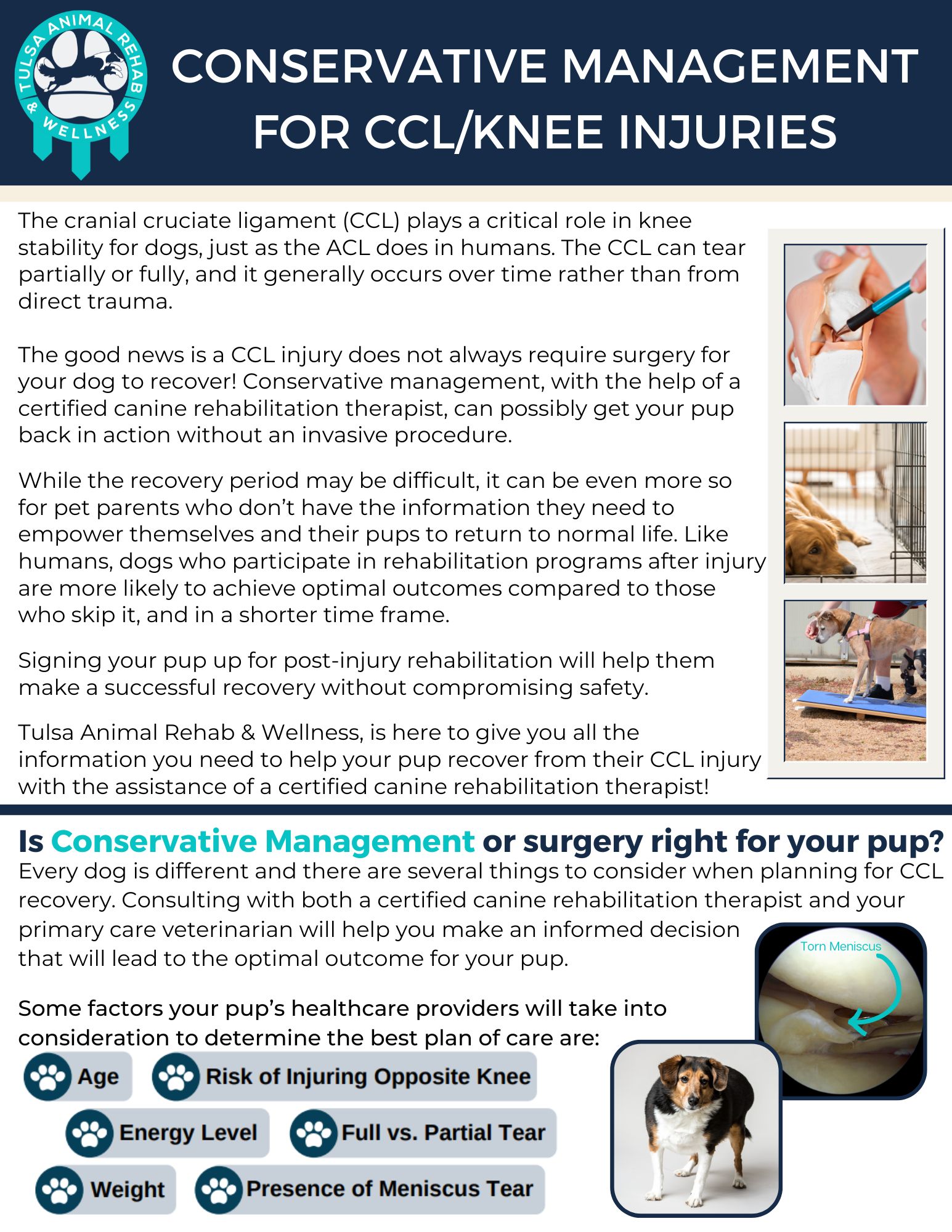 Free eBook: Conservative Management for CCL/Knee Injuries