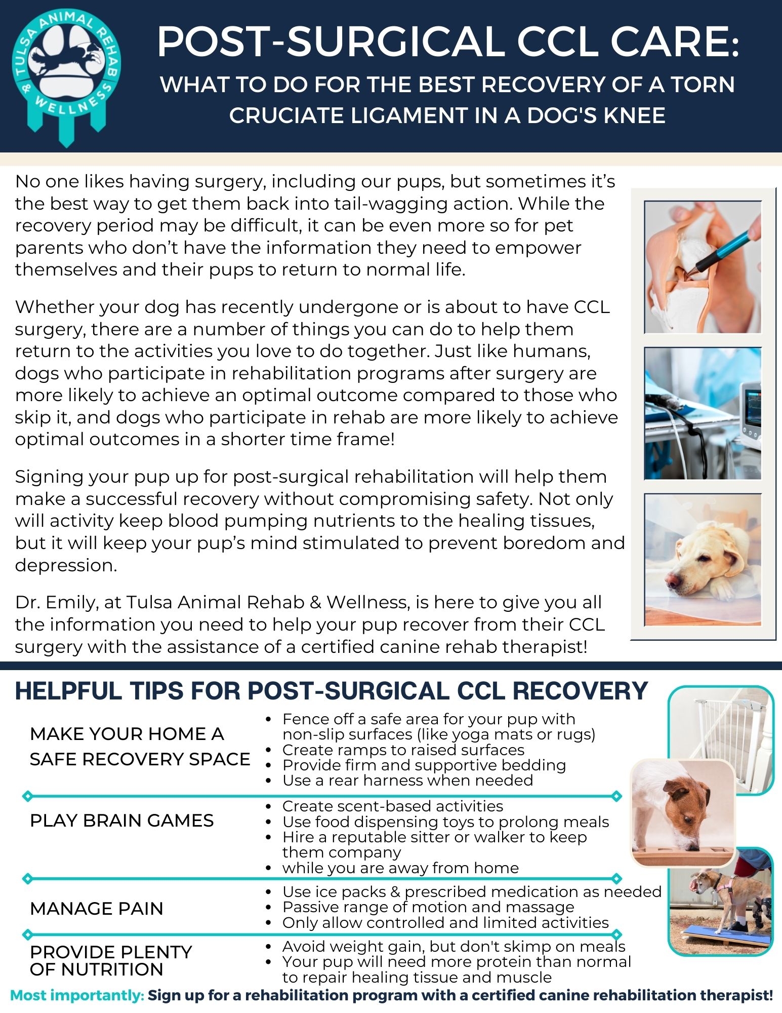 Free Download: Post-Surgical CCL Care
